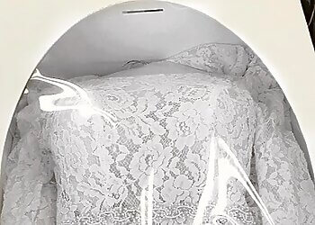 Laval Nettoyages à sec Nettoyeur Impeccable Eco