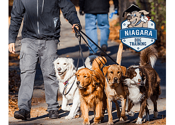 Niagara Dog Training