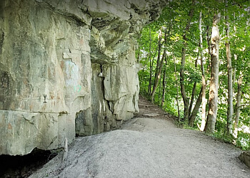Niagara Falls hiking trail Niagara Glen Nature Centre