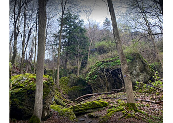 Niagara Falls hiking trail Niagara Glen Nature Centre