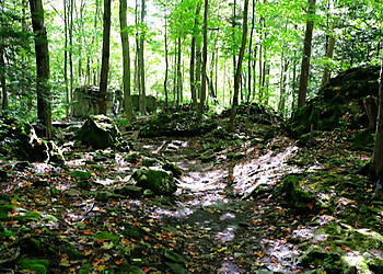 Niagara Falls hiking trail Niagara River Recreation Trail