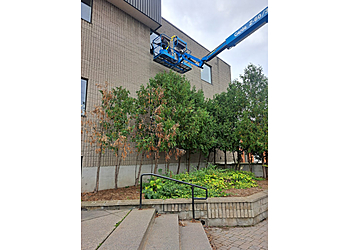 Belleville commercial cleaning service Nicholas Barnes Cleaning Services