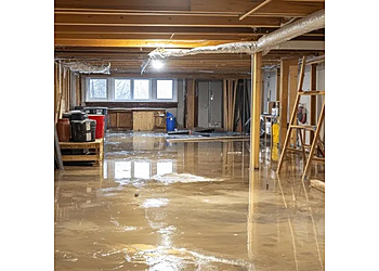 Belleville commercial cleaning service Nicholas Barnes Cleaning Services