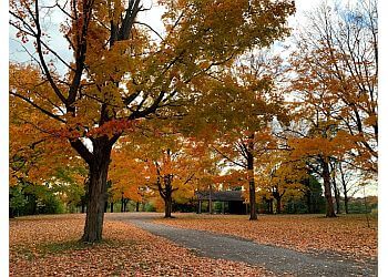 Peterborough public park Nicholls Oval Park