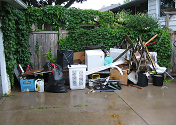 Nick the Junk Guy - Sarnia, ON Collecte des ordures - Field Work Image