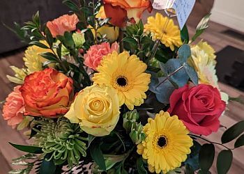 Brantford florist Nicol Florist