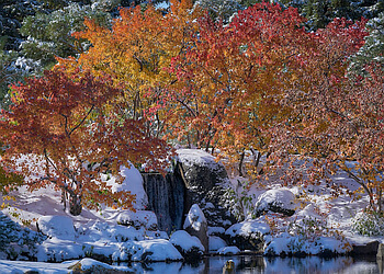 Lethbridge places to see Nikka Yuko Japanese Garden