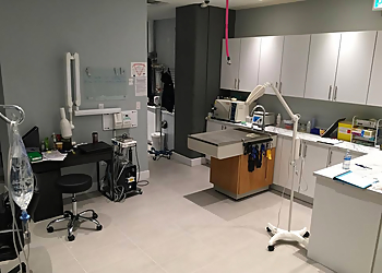 Noble Paw Veterinary Hospital - New Westminster, BC Veterinary Clinics - Treatment Room Image