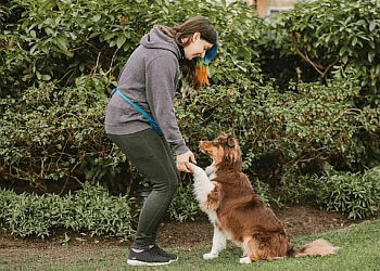 Vancouver dog walker Noelle's Pet Love image 1