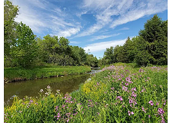 Aurora Sentiers De Randonnée Nokiidaa Trail