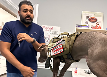 Norgate Animal Hospital - North Vancouver, BC Veterinary Clinics - Medical Procedure Image