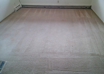 Saskatoon Nettoyage De Tapis North Star Cleaning & Restoration Inc.
