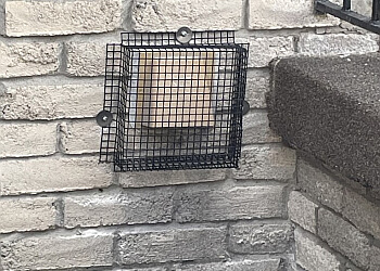 Brampton pest control North Star Pest Control