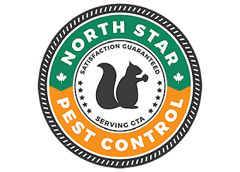 Brampton pest control North Star Pest Control