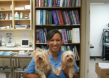 North Town Veterinary Hospital North Town Veterinary Hospital - Brampton, ON Cliniques Vétérinaires - Doctor With Patient Image