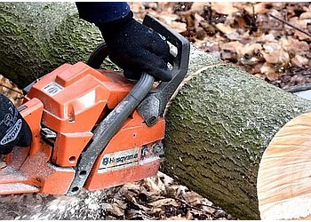 Barrie tree service Northshore Tree Experts Inc.