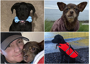 Chilliwack dog trainer Northwest Dog Training Academy