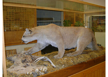 Airdrie places to see Nose Creek Valley Museum