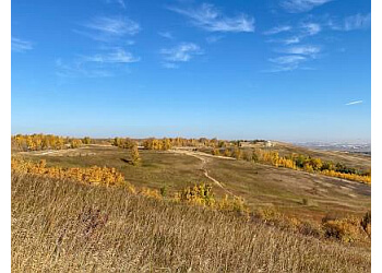 Calgary Sentiers De Randonnée Nose Hill Park