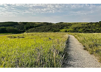 Calgary Sentiers De Randonnée Nose Hill Park