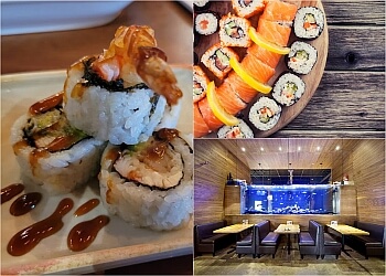 London sushis Nov. 8 Sushi Galore Fanshawe