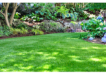 Hamilton lawn care service Nutri-Lawn
