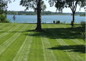 Nutri-Lawn