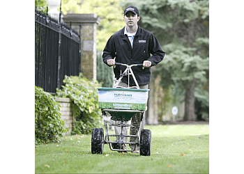 Cambridge Service D'Entretien De Pelouse Nutri-Lawn Cambridge