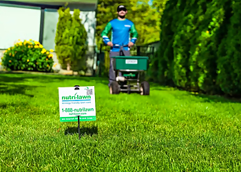 Nutri-Lawn-Cambridge Lawn Care - Cambridge, ON Service D'Entretien De Pelouse - Field Work Image