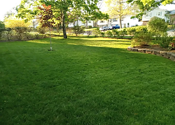 Nutri-Lawn-Halifax Lawn Care - Halifax, NS Lawn Care Services - Service Highlights