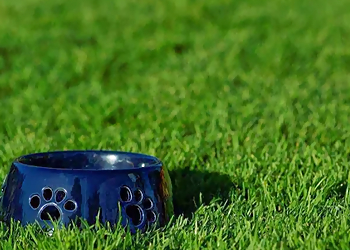 Kamloops lawn care service Nutri-Lawn of Kamloops