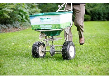 Sudbury Service D'Entretien De Pelouse Nutri-Lawn of Sudbury