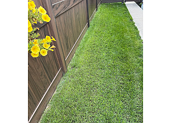 Winnipeg Service D'Entretien De Pelouse Nutri-Lawn of Winnipeg
