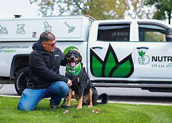 Saint Jerome Service D'Entretien De Pelouse Nutrite Saint-Jérome