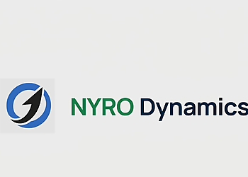 Nyro Dynamics LTD - Coquitlam, BC IT Services - Company Logo