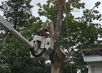 Moncton Services d'arboriculteur O'Blenes Trees & Services