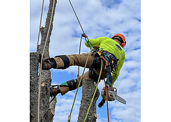 Moncton Services d'arboriculteur O'Blenes Trees & Services
