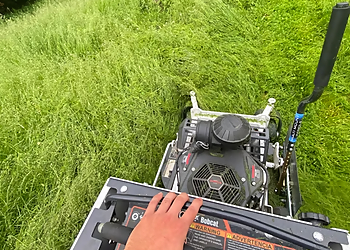 Newmarket lawn care service O'Doherty's Property Services