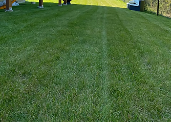 Newmarket lawn care service O'Doherty's Property Services