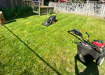 Newmarket lawn care service O'Doherty's Property Services