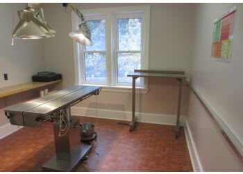 Orillia veterinary clinic Orillia Pet Hospital