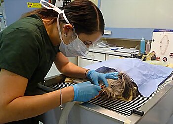 Prince George veterinary clinic Ospika Animal Hospital