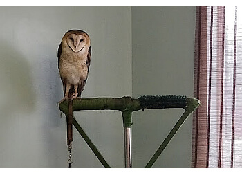 Delta places to see OWL Orphaned Wildlife Rehabilitation Society