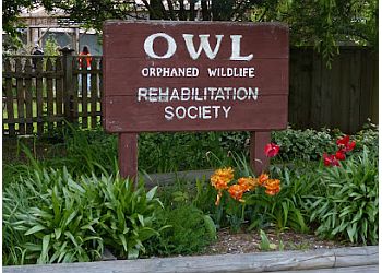 OWL Orphaned Wildlife Rehabilitation Society