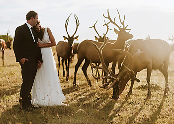 Oak + Pearl Photo - Grande Prairie, AB Photographes De Mariage - Service Image