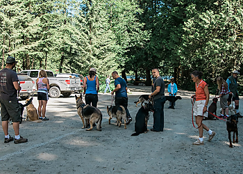 Abbotsford dog trainer Obedience Unleashed Dog Training Inc.