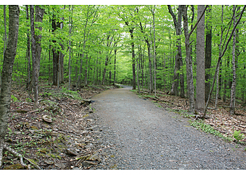 Fredericton Parcs Publics Odell Park
