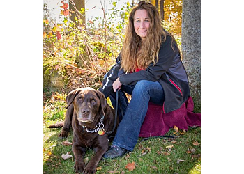 3 Best Dog Trainers In Halton Hills On Expert Recommendations