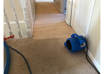 Langley carpet cleaning Only Way Cleaning Services
