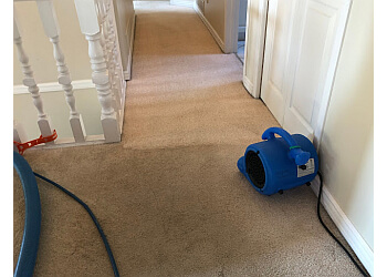 Port Coquitlam carpet cleaning Only Way Cleaning Services